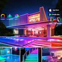 Twinklight extérieur étanche décoration LED plafonnier atmosphère Anime 12V RGB Flexible adhésif intelligent néon bande lumineuse