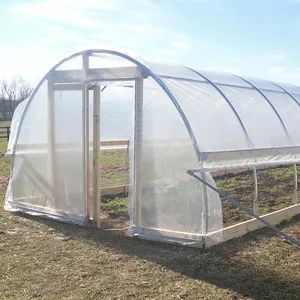 Greenhouse Factories Skyplant Low Cost Arch Plastic Film Greenhouse Tomato Greenhouse