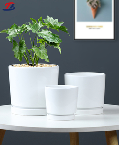 Macetas de Cerámica Blancas con Plato, Venta Directa de Fábrica, para Interiores/Exteriores, con Orificio de Drenaje, Ecológicas - Product Image 1