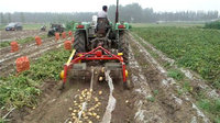Outils agricoles pelle à pommes de terre tracteur monté à une rangée machine de récolte de pommes de terre petite pelle à patate douce