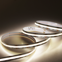 Nouveau produit FCOB CCT Lumière décorative DC5V 640LEDs RA90 Bande lumineuse LED flexible RGB RGBW COB à intensité variable