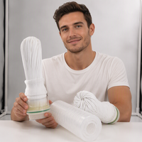 Cartouche de filtre PVDF à boîtier transparent de 20 pouces pour le traitement de l'eau