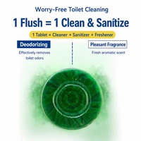 Tablettes nettoyantes jetables pour toilettes, antibactériennes, à chasse automatique, parfum pin, désodorisantes et décontaminantes
