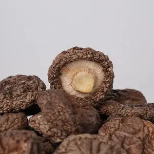 Perda por atacado de alta qualidade de cogumelo shiitake por atacado, cogumelo Xianggu seco, cogumelo shiitake chinês