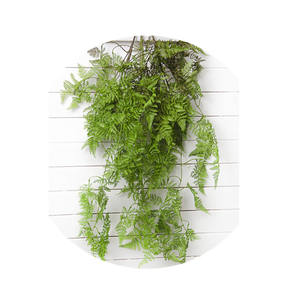 ช่อดอกไม้ปลอมสำหรับตกแต่งผนัง,ต้นสนใบเฟิร์น - Product Image 1