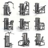 Machine d'extension dorsale avec pile de poids sélectionnable et réglable, pour le renforcement du bas du dos, équipement de fitness commercial pour salle de sport