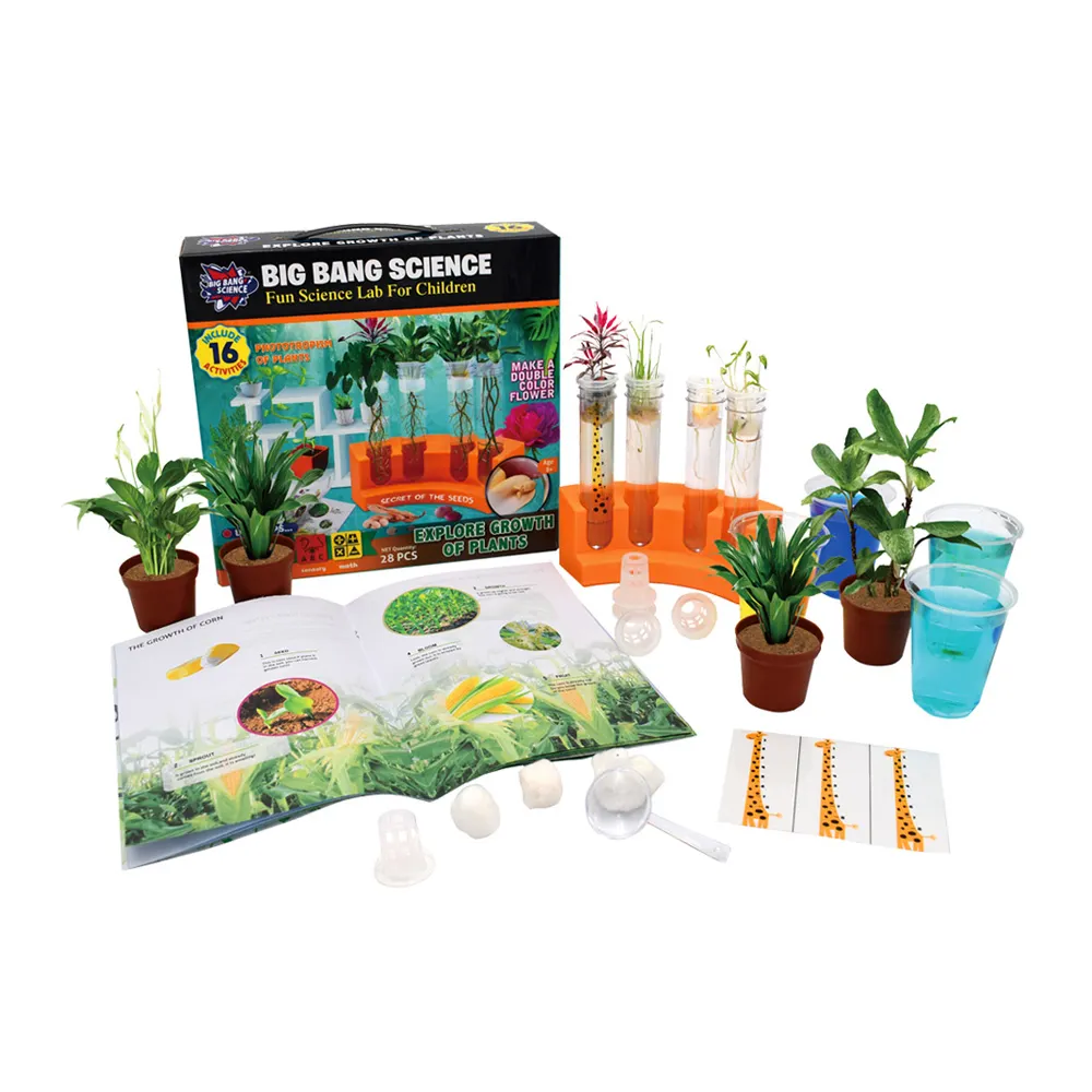Kit de experimentos de ciencia para el crecimiento de plantas para niños en casa