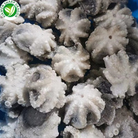 IQF fruits de mer congelés exportation congelé bébé pieuvre Chine SD 10kg pieuvre électronique pieuvre peluche comestible 10kg emballage en vrac ormeau