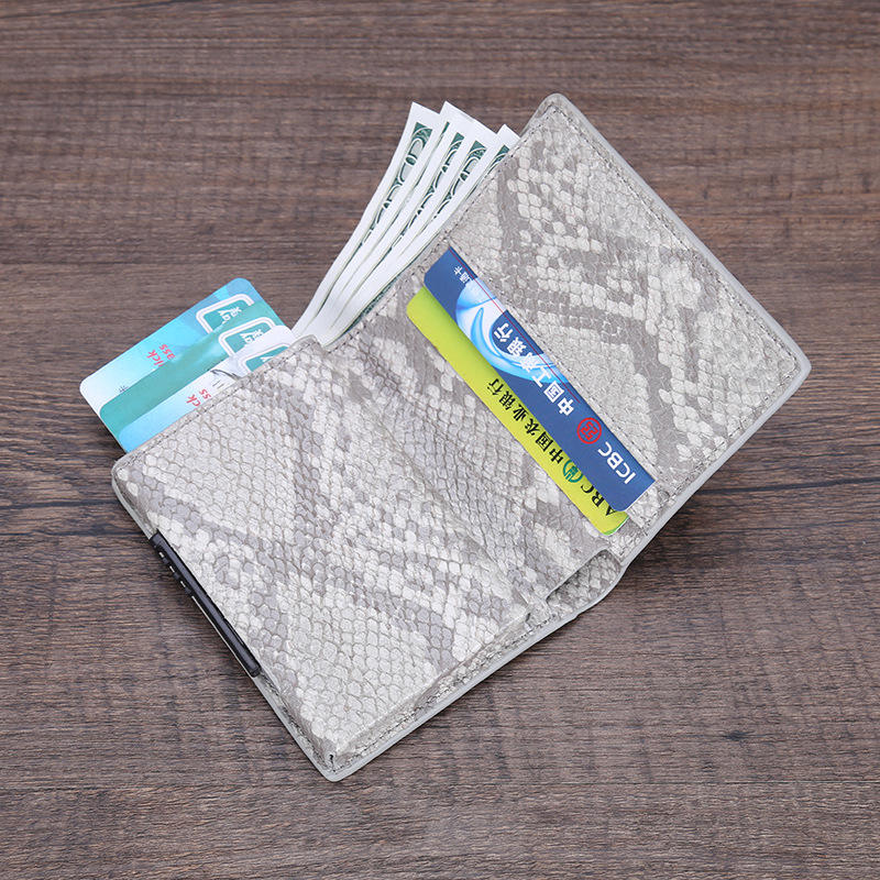 Modello di pelle di serpente