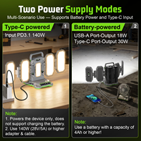 Lampe de travail LED sans fil à batterie lithium EGO, 4 panneaux pliables, portable, 10000 lm, autonomie 5-10h, pour réparation automobile, garage, atelier, Type-C