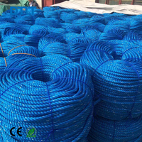 Corde en polyéthylène robuste 18 mm, corde torsadée à 3 brins, corde en polyéthylène PE haute résistance, corde en fibre tressée creuse pour la marine