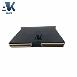 Module de sortie analogique Woodward 5463-785 - Product Image 3