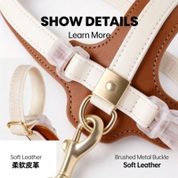 Collier de luxe pour chien, réglable, mains libres, multifonctionnel, personnalisé, 4-en-1, en nylon enduit de PVC, imperméable, avec trous supplémentaires et accessoires de charme