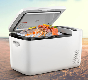 24v 22L Portable Compressor Car Fridges Truck Refrigerator 12 Volt Dc Fridge Used Camping Cooler Box Mini Deep Freezer For Car
