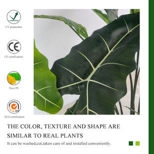 <span class=keywords><strong>Planta</strong></span> Artificial <span class=keywords><strong>de</strong></span> Alocasia Tropical para Interiores/Exteriores, Hoja <span class=keywords><strong>de</strong></span> Alocasia Sarian Tipo <span class=keywords><strong>Oreja</strong></span> <span class=keywords><strong>de</strong></span> <span class=keywords><strong>Elefante</strong></span>, Plástico Similar a Palma/Olivo - Product Image 4