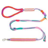 Laisse de dressage réglable en nylon tressé pour chien, avec frein coulissant, poignée tressée absorbant les chocs, personnalisable