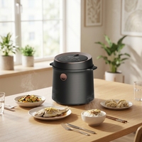 Cuisinière à riz électrique professionnelle automatique multifonctionnelle à faible teneur en sucre et en glucides, application culinaire, portable, 1,2 L, 1,5 L, 1,8 L, 2,0 L