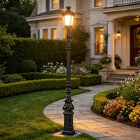 Lampes LED d'extérieur personnalisées, électriques, AC, IP65, 30W, avec capteur de lumière, pour hôtels, parcs, jardins, en aluminium moulé sous pression