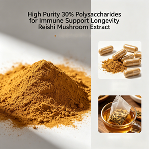 Extrait de champignon Reishi en poudre à haute pureté, 30% de polysaccharides, pour le soutien immunitaire et la longévité - Product Image 2