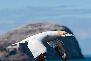 Téléconvertisseur Fujifilm XF2X TC WR - Product Image 2