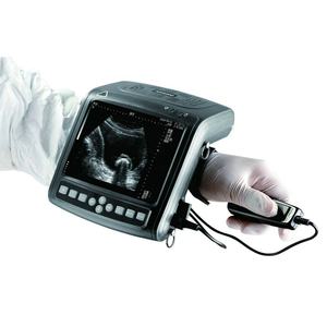 Veterinaire Handheld Varkens Ultrasone Scanner 6.5 <span class=keywords><strong>Mhz</strong></span> Ultrasone <span class=keywords><strong>Transducer</strong></span> Kx 5200V - Product Image 4