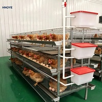Cage à poulets de chair en forme de H à plusieurs niveaux, gain de place pour les exploitations avicoles à grande échelle