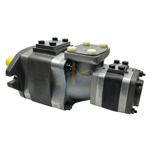 Bombas de Engranajes Hidráulicos de Alta Presión IPV4 IPVP5 IPVS6 IPC3 IPN5 IPH6 IPVAP IPV4-32 IPV5-64 IPV6-125 IPVP5-50 IPC4-20 - Product Image 2
