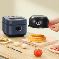 Autocuiseur Électrique Intelligent Multifonctionnel en Acier Inoxydable Antiadhésif Portable pour la Maison - Vente Chaude