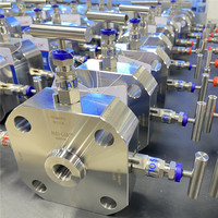 Bloque de Distribución Bidireccional y Válvula de Purga Nai-Lok de 1/2 Pulgada Macho NPT BSPP BSPT 6000psi de Acero Inoxidable para Instrumentación