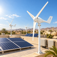 Éolienne de toit 400W, générateur d'énergie éolienne économique, éolienne horizontale pour usage domestique, système hors réseau
