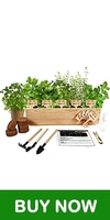 10 Kit Penyemai Benih Herbal untuk Berkebun, Pot Putih, Penanda, Tanah Self-Watering Bebas GMO, 16 oz, Set Lengkap untuk Berkebun Dalam Ruangan