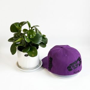 Casquette Snapback Structurée 6 Panneaux 100% Coton Personnalisée OEM de Haute Qualité avec Logo Brodé Unisexe Adulte Quatre Saisons Style Européen - Product Image 5
