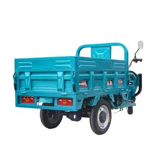 Carry Cargo dành cho người lớn Điện ba bánh xe tải Trike xe máy 1200W vận chuyển hàng hóa giao thông vận tải