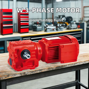 Trung Quốc nhà máy OEM S <span class=keywords><strong>E</strong></span> W xoắn ốc S loạt bánh 3 giai đoạn động cơ không đồng bộ eurodrive Worm hộp số tốc độ giảm tốc - Product Image 6