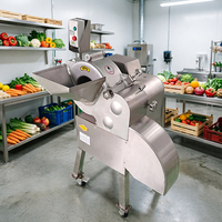YouBan Multifunctionele 3D Snijmachine voor Vers Halfgevroren Vlees Cassave Mango Banaan Kaas Kubus Reep Plak Snijden SUS304