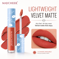 En stock, 12 couleurs, rouge à lèvres liquide mat en velours, longue tenue, haute pigmentation, prix de gros, approvisionnement en vrac, marque privée, maquillage pour les lèvres