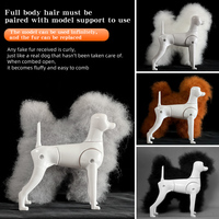 Modelo de esqueleto de perro de cuerpo completo estándar para práctica de peluquería canina, con pelo sintético de poliéster, color gris simple, para estudiantes de peluquería de mascotas