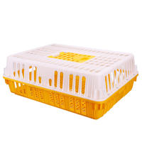Cage de transport pour volailles vivantes, boîte de manutention pour poussins, caisse de transport en plastique pour élevages de canards et de poulets – Fournisseur chinois
