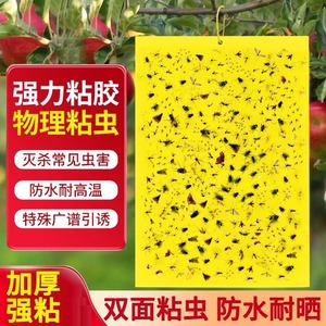 Double Sided Sticky Insect Trap Yellow Rectangle Physical Pest Control For Home And Outdoor Use Anti UV Waterproof - Product Image 1