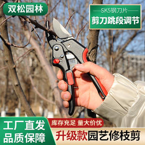 กรรไกรตัดแต่งกิ่งไม้แบบคู่ ใบมีดเหล็กคาร์บอน 65 มม. โครงสร้างแบบผีเสื้อ เส้นผ่านศูนย์กลางการตัดแต่ง 20-30 มม. เครื่องมือทำสวน - Product Image 4