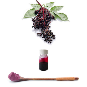 ผง <span class=keywords><strong>Elderberry</strong></span> เกรดอาหาร30% โพลีฟีน <span class=keywords><strong>Elderberry</strong></span> ผงสารสกัดจาก <span class=keywords><strong>Elderberry</strong></span> สีดำ - Product Image 2