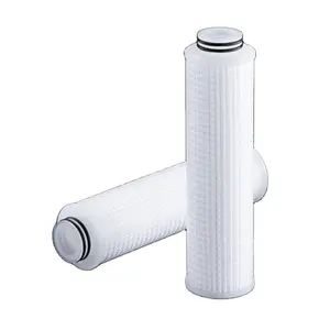 2024 Hot Selling Hydrophilic PTFE Pleated Filter Element With High Quality Factory Price And Fast Delivery