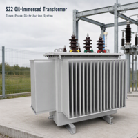 Transformateur de puissance immergé dans l'huile S22 pour postes de transformation et réseaux électriques, triphasé 10kV 0.4kV 30kVA-315kVA, bobinage en cuivre, faible perte