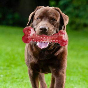 Jouets pour chiens à mâcher en caoutchouc dur naturel OEM personnalisés pour mâcheurs agressifs - Product Image 6