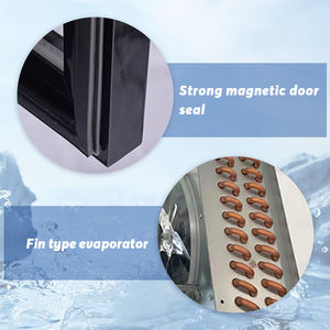 Equipo <span class=keywords><strong>de</strong></span> supermercado 3 vitrinas <span class=keywords><strong>de</strong></span> puerta <span class=keywords><strong>de</strong></span> ventana Bar <span class=keywords><strong>de</strong></span> campo Cerveza Bebidas <span class=keywords><strong>Nevera</strong></span> Refrigerador comercial <span class=keywords><strong>Nevera</strong></span> - Product Image 6