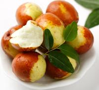 Verse Dadels/Verse Dongzao Jujube Vruchten Hoge Kwaliteit Voor Verkoop