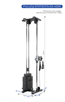 Nouveau Style usage domestique métal mural câble croisé poulie Machine d'exercice pour Lat tirer vers le bas rangée musculation