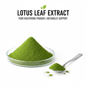 ผงสารสกัดจากใบบัวบก นิวเทอร์แนล บาลานซ์ พาวเวอร์เฮาส์ พรีเมียม (น้ำเพื่อการเผาผลาญที่ดี สุขภาพที่ดี สงบ ผ่อนคลาย อาหารเกรดเพื่อสุขภาพ) - Product Image 1