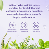 Lidercare Pocket Pack OEM Spray buccal portable rafraîchissant pour l'hygiène bucco-dentaire, parfum persistant menthe, vente flash
