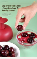 Eén-secondenpers 4-gaats kersenontpitter machine van ABS plastic, fruitontpitter, keukenhulpje voor het maken van jam & cake
